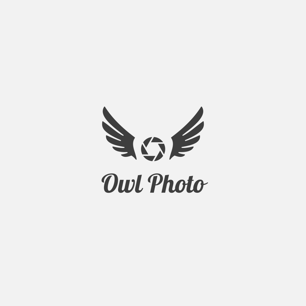 Камера И Крылья Логотип