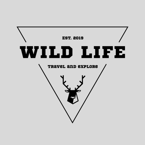 Олень И Треугольник Логотип