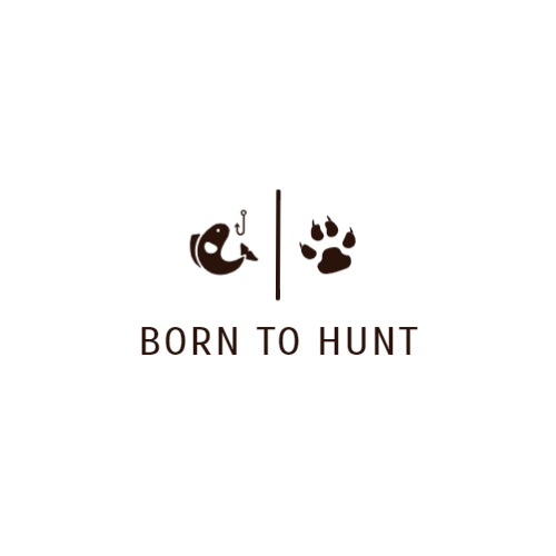 Логотип Fish & Paw