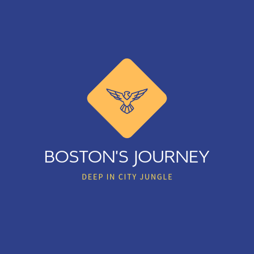 Логотип Летящего Орла