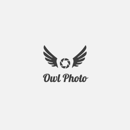 Камера И Крылья Логотип