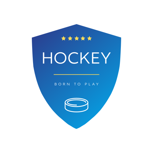 Синий Щит И Хоккейная Шайба Логотип