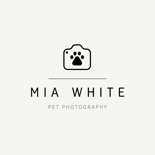 Логотип Камеры И След Животного