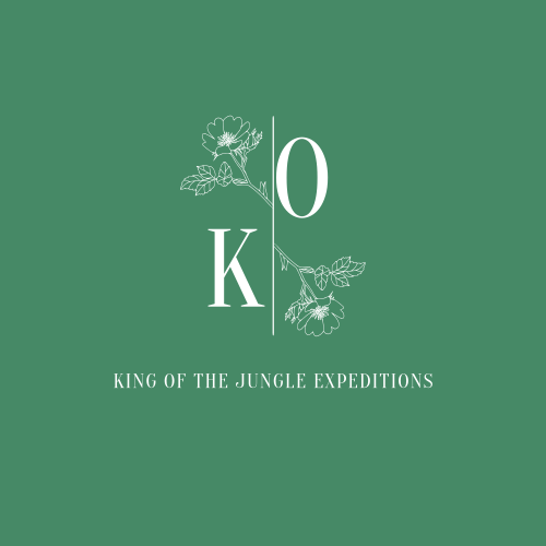 Логотип Льва