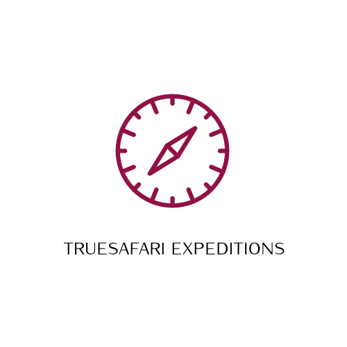 Логотип Сафари