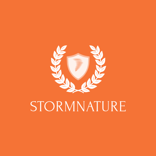 Логотип Шторма