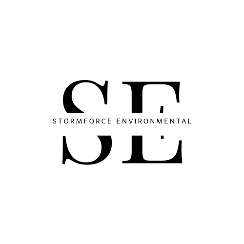 Логотип Шторма