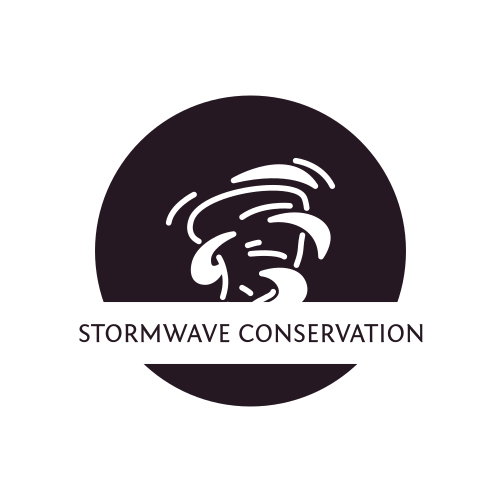 Логотип Шторма