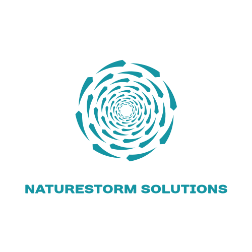 Логотип Шторма