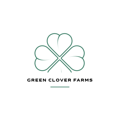 Логотип Клевера