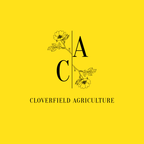 Логотип Клевера