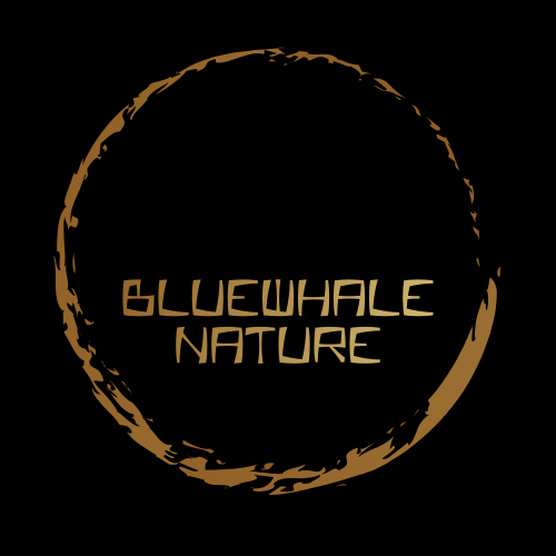 Логотип Кита