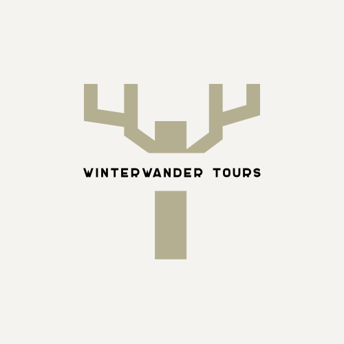 Зимний Логотип