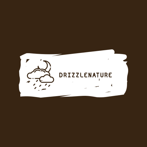 Логотип Дождя