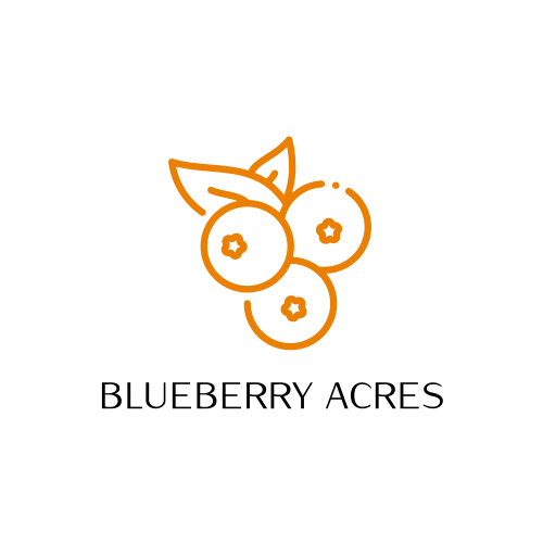 Логотип Черники