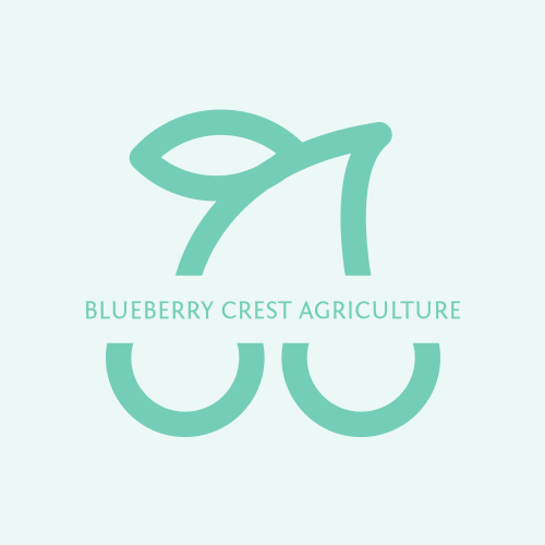 Логотип Черники