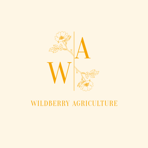 Логотип Ягоды