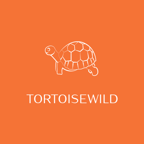 Логотип Черепахи