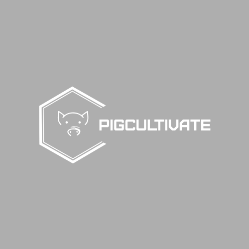 Логотип Свиньи