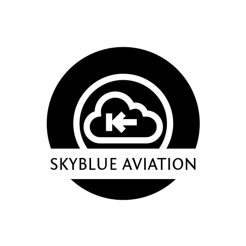 Логотип Синего Самолета