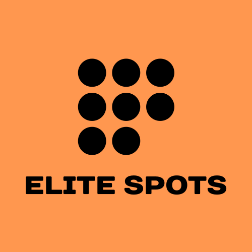 Пятна Логотип