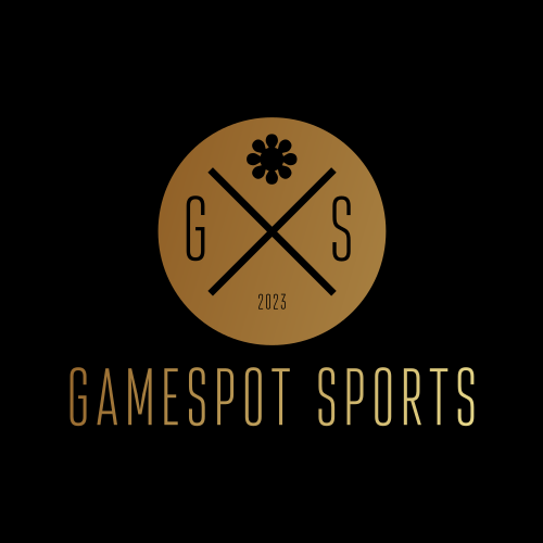 Пятна Логотип