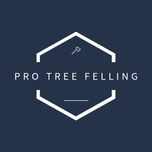 Логотип Вырубки Деревьев