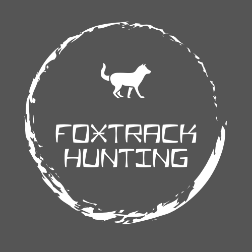 Логотип Рыжей Лисы