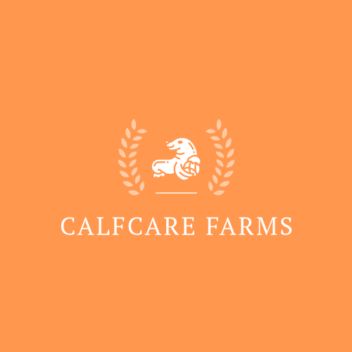 Логотип Теленка