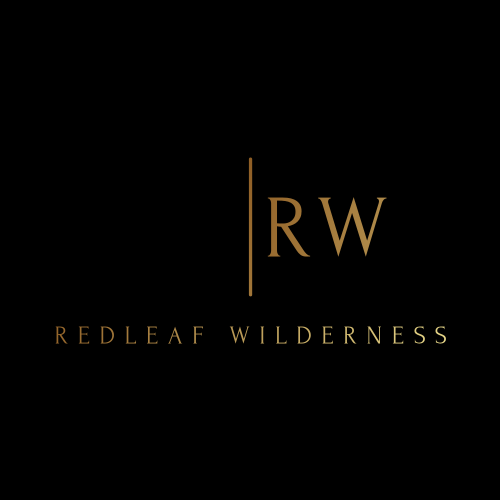 Красный Лист Логотип